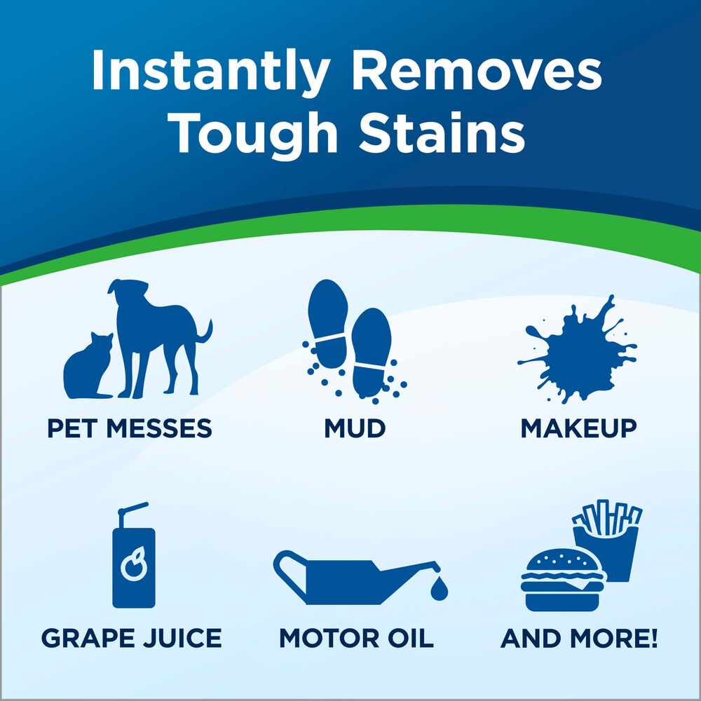Woolite® Carpet Pet Stain & Odor + Oxy Spot Cleaner